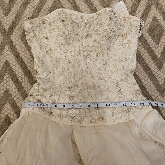 Stephen Yearick Beige Wedding Dress 6 - Picture 10 of 12